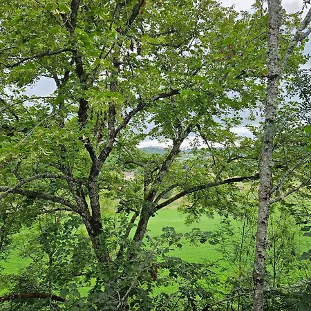 Ξενοδοχείο L'oree Du Bois - &