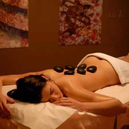 Hotel L'orée Du Bois - Hôtel&spa