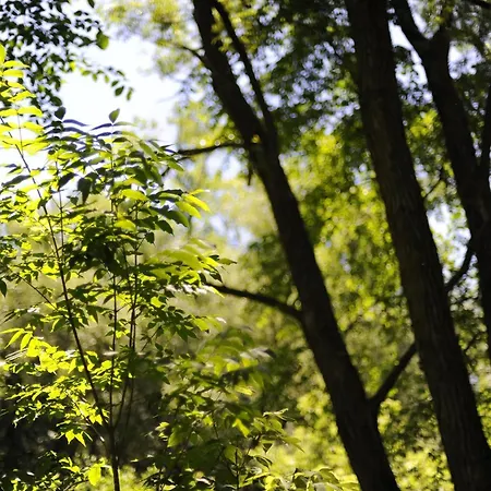 L'orée Du Bois - Hôtel&spa 4* Montagudet